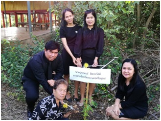 Mol-Thailand